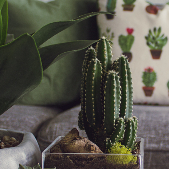 Ethnic Kurta Multi color121