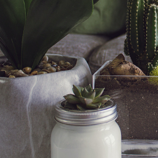 Dhoti not for sale0222