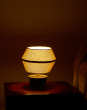 Brown Keasar Lamp With Shade