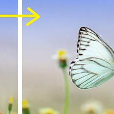 test crop image product