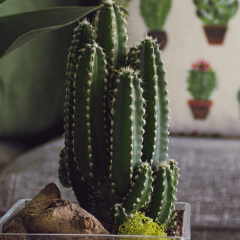 New kurta Multi product 