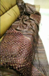 Tussar Ghicha  Red Silk Saree